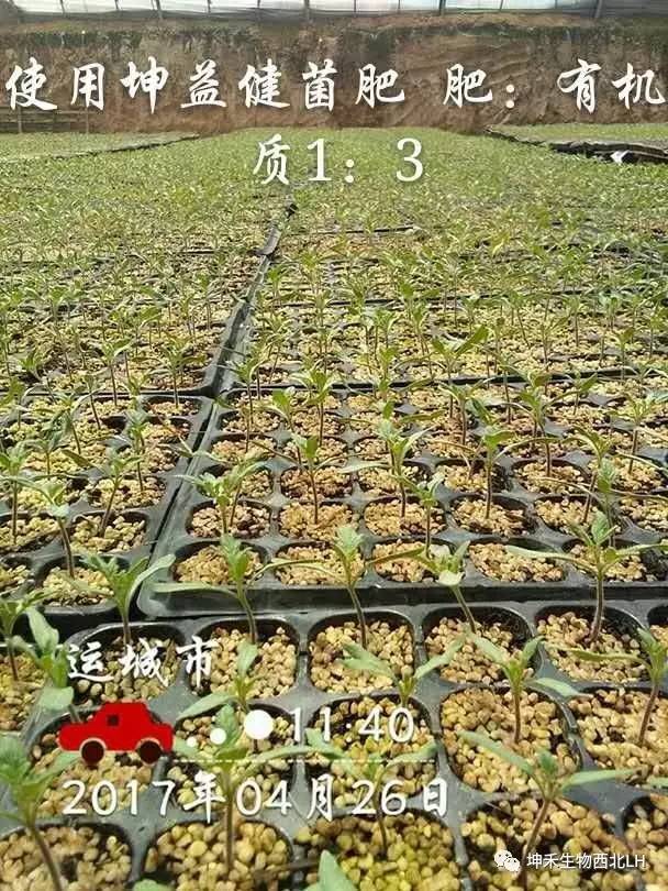 微信图片_20170520184109.jpg